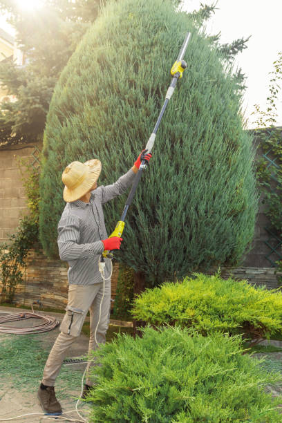 Best Lawn Watering Services  in Germantown, WI